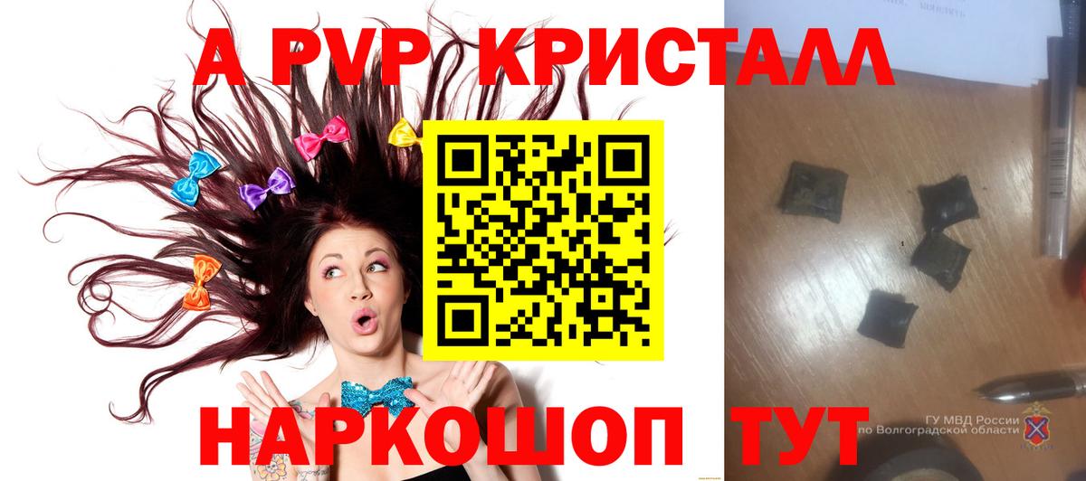 Alfa_PVP СК  А ПВП СК  даркнет сайт  Семёнов  Вход с VPN 