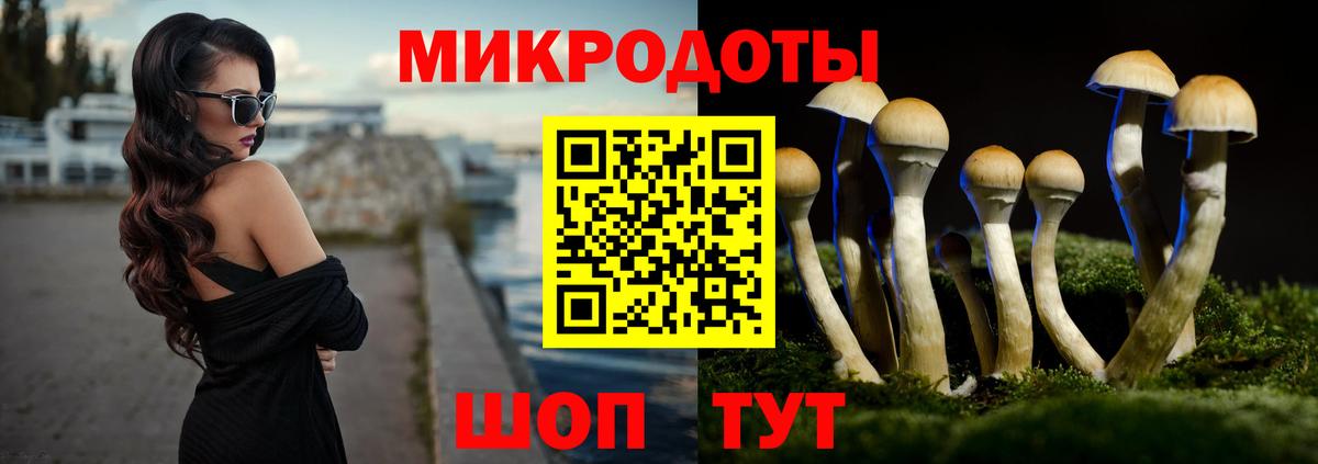хочу   Псилоцибиновые грибы мицелий  Вход с VPN  Псилоцибиновые грибы мухоморы  Семёнов 